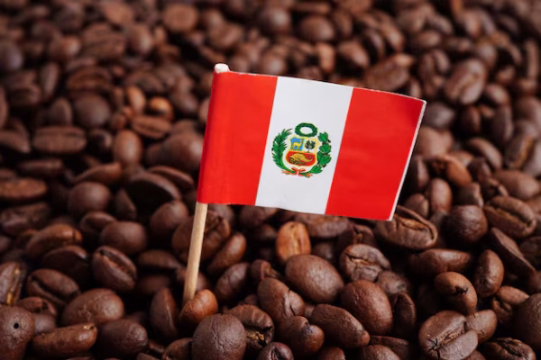 Café costarricense de especialidad tostado en grano